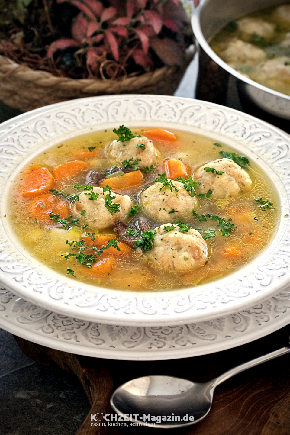 Ganslsuppe Abbildung 1