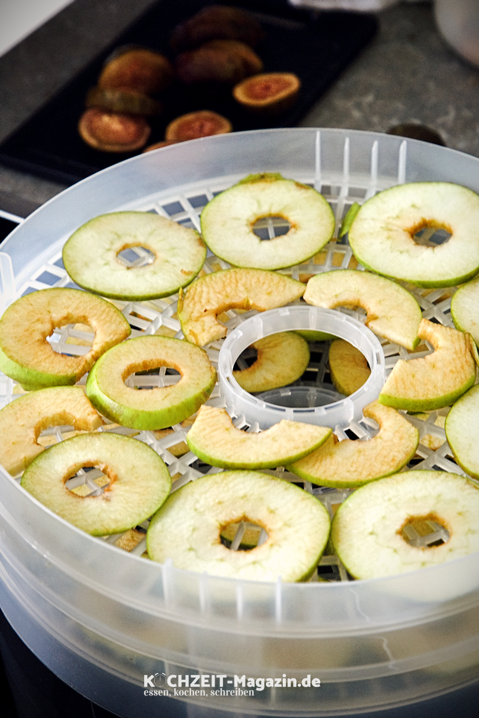 Obst trocknen Abbildung 1 Dörrobst selber machen