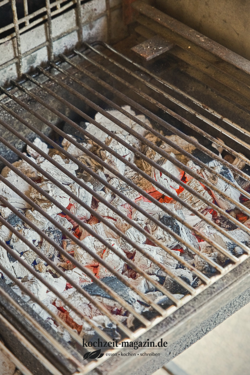 Grillen Grundlagen