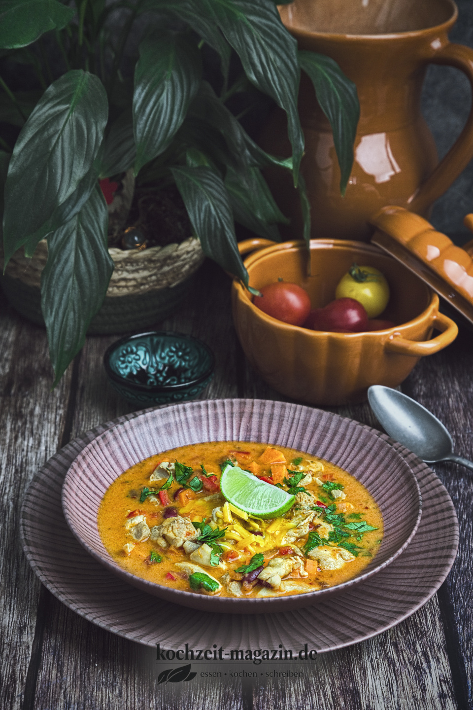 Tex Mex Chicken Soup Abbildung 1 Tex Mex Chicken Soup